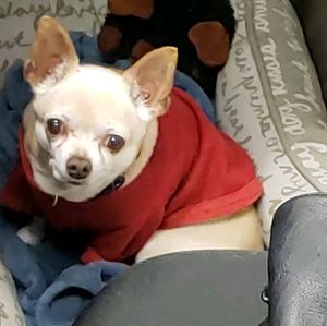 Meet your Posher, Bill